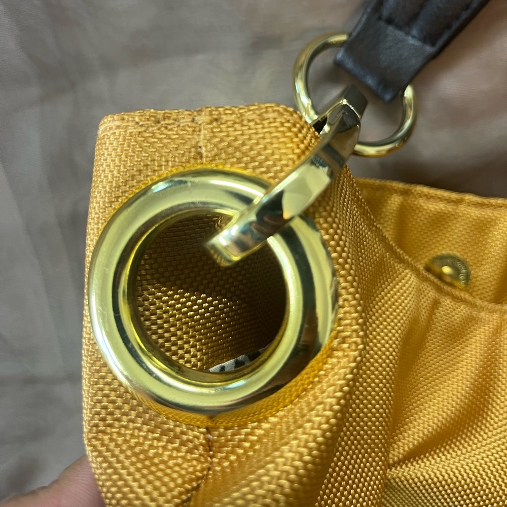Braciano Gold Tote with Leopard Print Lining - Picture 10 of 16